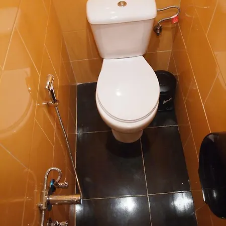 Apartment Minaya *